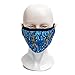 MODGY Fashion Mask 3-Layer Cloth Face Masks with Filter Pocket Insert, Nose Wire, Adjustable Ear Loops, Breathable, Reusable, Washable, Women, Men, Adults, Louis C. Tiffany Dragonfly