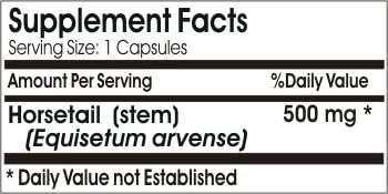Silica 500mg // 200 Capsules // Pure // by PureControl Supplements