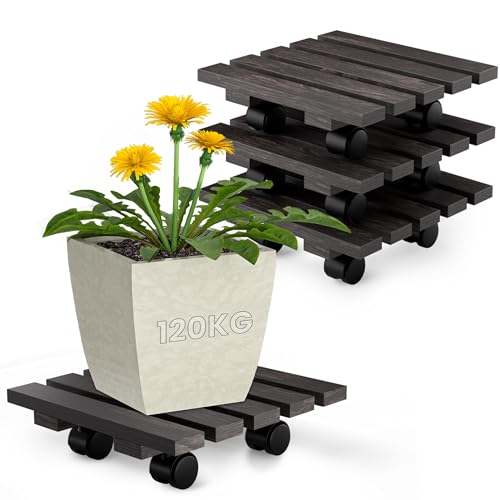 Oramics 4 Stück Pflanzenroller Eckig aus Massivholz in Schwarz – 30 x 30 x 8 cm bis 120 KG belastbar – Rollbrett für Pflanzen, Blumentöpfe und Blumenkübel – Blumentopf Untersetzer mit 4 Rollen