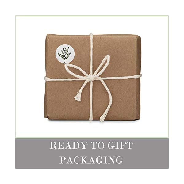 Bare-Botanics-Body-Scrub-Coconut-Vanilla--Gentle-Exfoliator-Super-Moisturizer-All-Natural-Non-Greasy-No-Synthetic-Fragrances-No-Nut-Oils-Salt-Scrub Bare Botanics Coconut Vanilla Body Scrub 24oz | Made in Madison, WI | All Natural Sea Salt Exfoliator w/ Skin Loving Moisturizers | Vegan & Cruelty Free | Gift Ready Packaging w/ a Cute Wooden Spoon