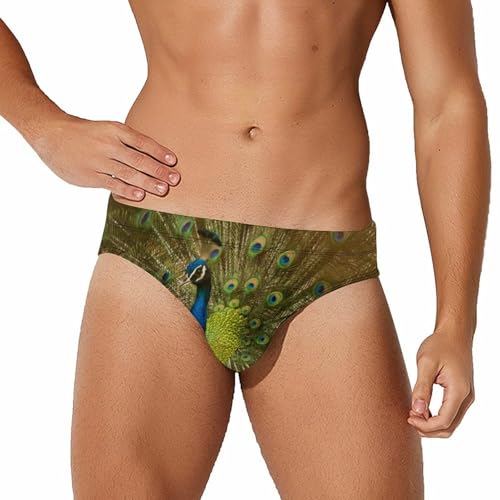 Peacock Show Mens Swim Briefs Bikini Sexy Low Rise Trunks Swimsuit Bathing Suit Beach
