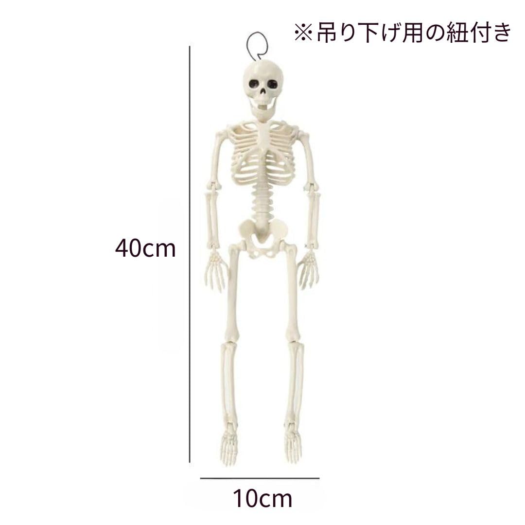 Amazon.co.jp: [AiO JAPAN] ハロウィン 骸骨 40cm 全身骸骨 ガイコツ