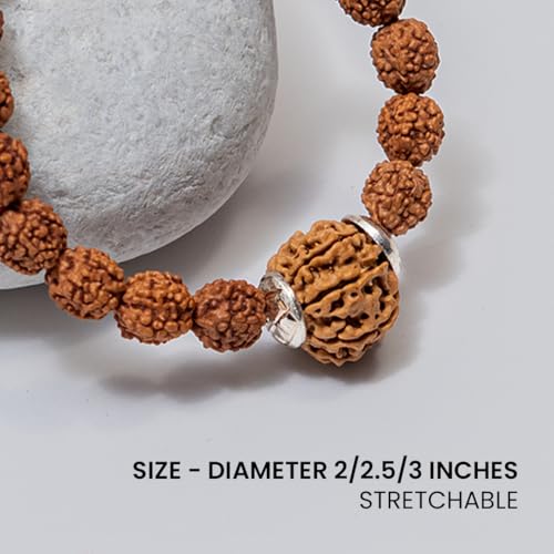 Image of 7 Mukhi Rudraksha Bracelet for Men and Women | Lakshmi Bracelet | Original Lab Certified Nepal Rudraksha Educating People About Rudraksha for Over 20 Years