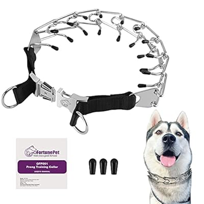 Buy dog collar Clearance
