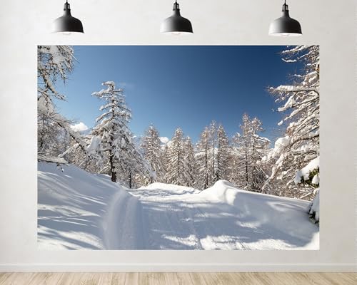 Trykid 10x6.5ft Winter Ski Trail Backdrop Snow Covered Trees Cross