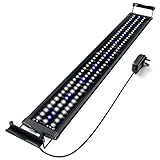 🐠oo [Promover el crecimiento] Las luces LED para peces benefician el crecimiento de las plantas acuáticas y también crean efectos especiales de iluminación y ambiente para mostrar los colores vivos de las plantas acuáticas y los peces.