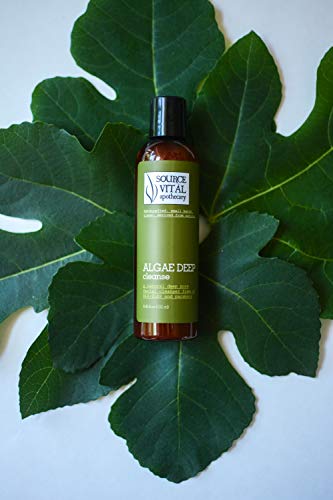 Algae Deep Cleanse by Source Vitál Apothecary | Daily Natural Deep Pore Facial Cleanser for Gentle Exfoliation for All Skin Types | Invigorating Scent with a Tingly Sensation that Leaves the Skin Happy and Smooth | 8.39 Oz. - Thumbnail 2