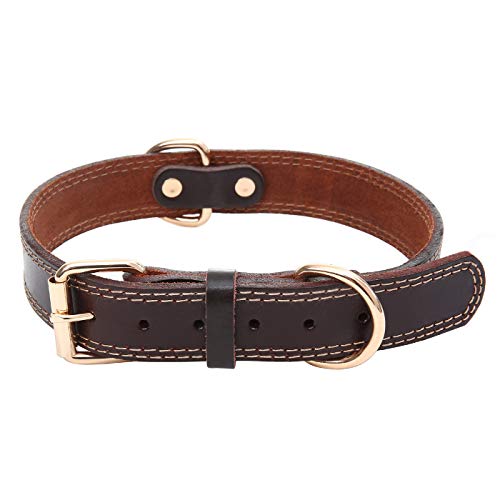 soft leather dog collar