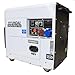 Hyundai 5.8kW / 7.5kVA* Diesel Powered Multi-Phase Generator 230v & 400v Max Power Three Phase/Single Phase, With Long Run Time