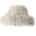 FHQHTH Women's Fluffy Faux Fur Bucket Hat Warm Fuzzy Winter Cap Cozy Soft Outdoor Fashion Hat [Griege]