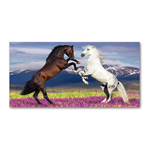 Tirages sur toile pour décorer un grand mur vide | Chevaux 120x60 cm