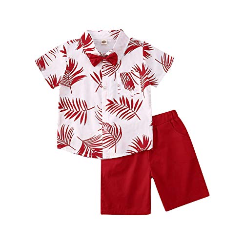 Toddler Baby Boy Summer Clothes Set Short Sleeve Button Down Floral T-Shirt Top+Shorts Outifits (Red Leaves, 4-5 Years)