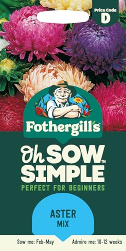 Fothergill's Oh Sow Simple, Aster Mix Flower Seeds, Sow: Feb-Apr, Purple/Pink/White