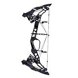 WGLG Compound Bogen, Legierung Version Bogenschießen Stahlkugel Doppelten Zweck Scheibencompoundbogen Und Bogen Stahlkugel Bogen Pfeil