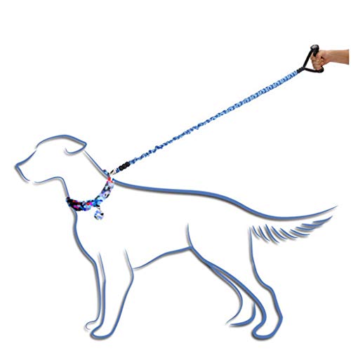 Outdoor Use of Elastic Dog Leash