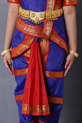 Image of Bharatnatyam Costume for Girls | Bharatanatyam Dress for Kids | Readymade Classical Dance Costume for Annual Function & Stage Performance