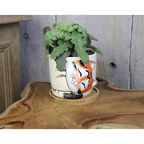Window Garden Animal Planters - Large Kitty Pot (Barney) Perfect For Indoor Live House Plants & Garden Rustic Charm 6” Planter - Fine Home Décor Ceramic Indoor Decorative Pot. For Or Herbs, Flowers #TOP7