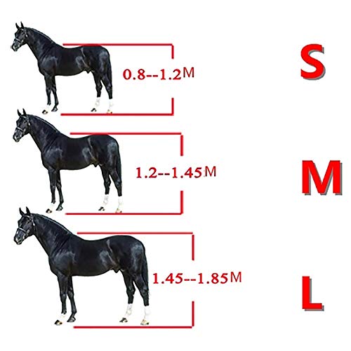 Brida de nailon azul para caballo con cabestro ajustable talla S 3