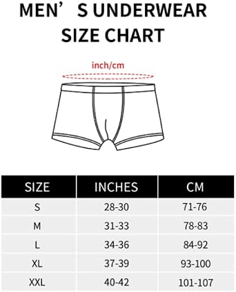Bear Brotherhood Pride Flag Mens Boxer Shorts Classic Trunks Breathable Boxer Briefs For Everyday Wear Leisure Business