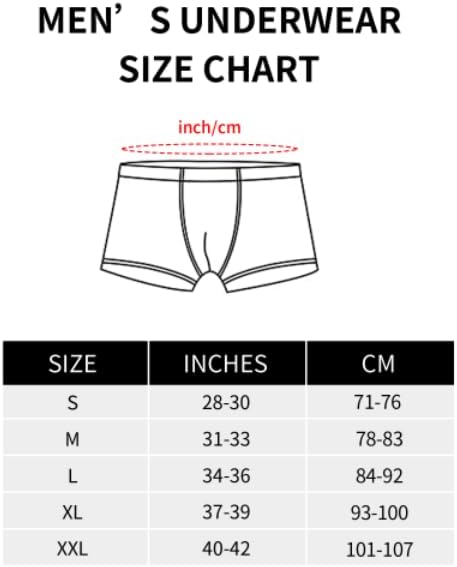 Bear Brotherhood Pride Flag Mens Boxer Shorts Classic Trunks Breathable Boxer Briefs For Everyday Wear Leisure Business