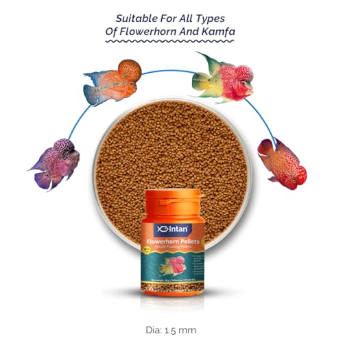 Image of Intan Flower Horn Pellets (Small 1.5mm Floating) | 30gm - Highly Nutritious Ornamental Fish Food for Flowerhorn & Kamfa | Growel Feeds
