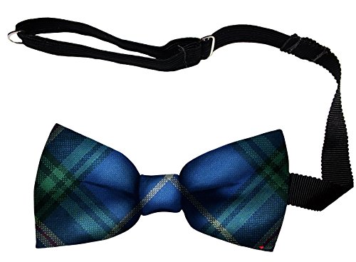 Noeud papillon laine douce Écosse Nova Scotia tartan histoire celte