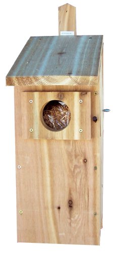 Stovall 6H Screech Owl Box