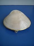 Pink Mother of Pearl Sea Shell Trinket Box Purse