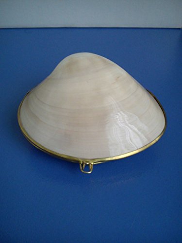 Pink Mother of Pearl Sea Shell Trinket Box Purse