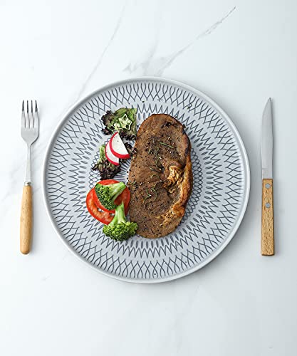 Hasense Porcelain 10 Inches Dinner Plates Set Of 4, Salad Plates Ceramic Dessert Dishes For Pizza Pasta Maincourse, Microwave & Dishwasher Safe #TOP6