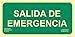 Becral® - Señal luminiscente SALIDA DE EMERGENCIA PVC 0,7mm Clase B 210X420mm homologado CTE, RIPCI nueva ley ref.RD1B106