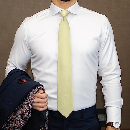 Image of boxed-gifts Umo Lorenzo Mens Zipper Ties Solid Color Pre Tied Polyester Neckties for Men and Women