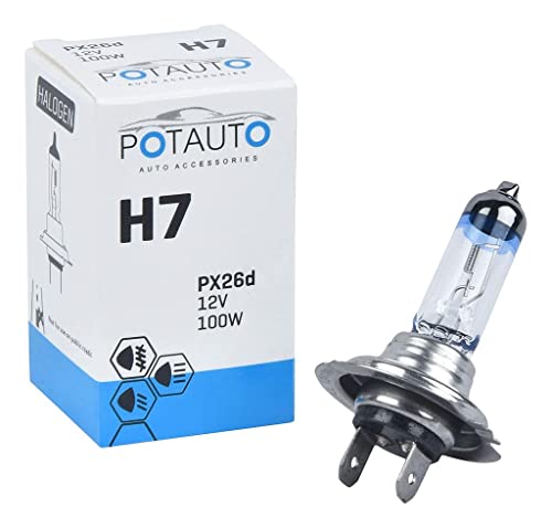 Image of Potauto H7 XTRA Head Light Halogen Bulb For Car, 12V 100W - PX26d | 3500K | Single Piece