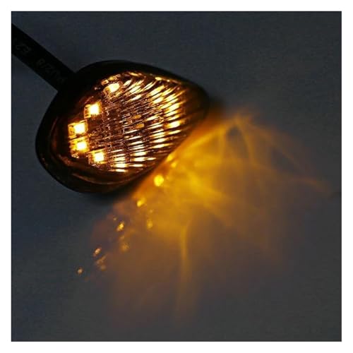 Clignotants Grom 2014-2016 étanches à double lampe témoin 12V - 3