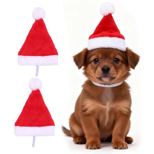 Gorros Navideños para Mascotas Yahpetes 2 Piezas Talla S
