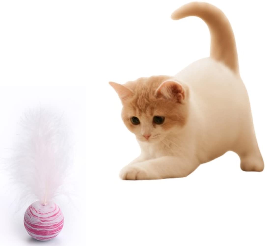 BUSHIKO Cat Toys Interactive Kitten | Training Balls Bite Resistant Cat Toys Interactive | Cat Toy Ball Scratch | Ball Cat Lattu Toy (Pink) (B09JDDBCB8) Amazon Price History, Amazon Price Tracker