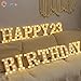 HXWEIYE Light Up Letters P, LED Marquee Letters Lights Sign 26 Alphabet and 10 Number Big Lights Letter for Party Birthday Bar Battery Powered Christmas Decor Letter Light (Warm White)