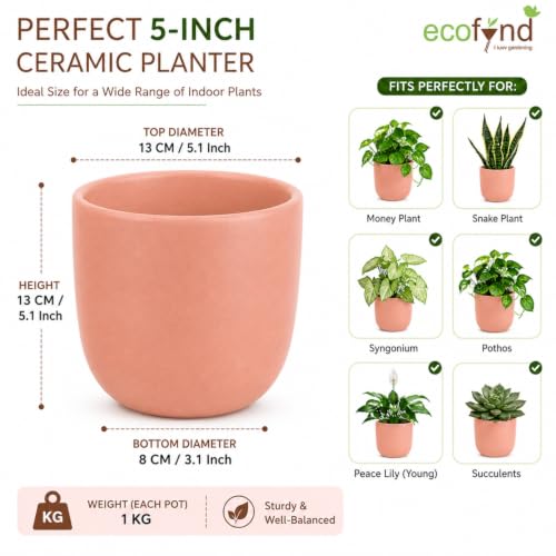 Image of ecofynd 5 Inch Ceramic Plant Pots with Drainage Hole, Modern Decorative Clay Flower Pots for Indoor Plants, Home Garden Decor for Living Room, Bedroom & Interior Spaces (Pack of 2, CPOT041-PNK)