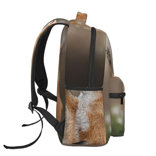 Mochila de senderismo EdWal impermeable contra lluvia y manchas 3