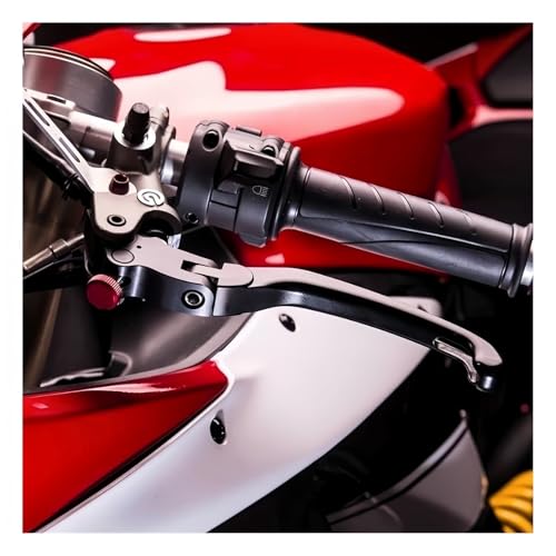 Levier de frein moto pliable embrayage kit commande réglable pour Ducati Panigale V4S - 2
