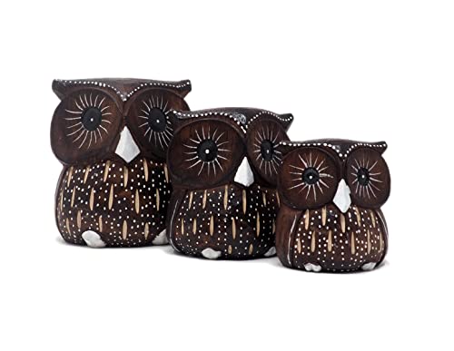 Buhos Decorativos Originales 3 Figuras Decoración Adornos Hechos en Madera Mesa Sobremesa Hogar Salón Cocina Jardin Cover