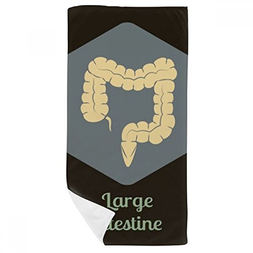 Gant de toilette Organes du Corps grand intestin serviette microfibre multicolore 35x70 - 2