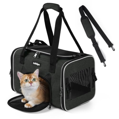 Image of rabbitgoo Cat Carrier Soft Sided, Stable Portable Pet Carrier with Safety Buckles for Car Travel Vet Visit Airline, Comfortable Breathable Kitten Bag for Small Medium Cat, Black, 17x11x11 inch
