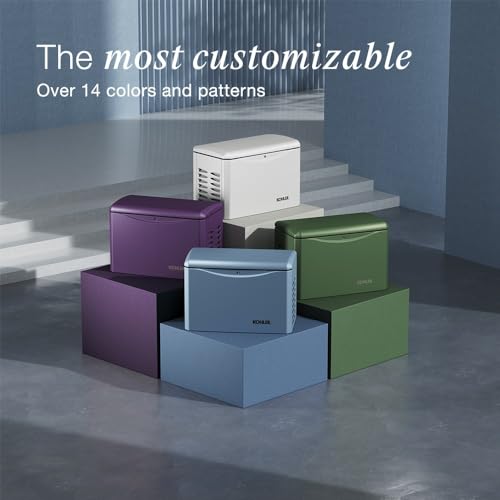 RCA 26,000-Watt Air-Cooled Whole House Generator - Image 5