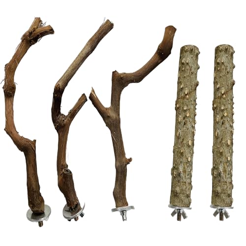 Image of 5 Pcs Natural Wood Bird Perch Stand Set, 3 Grape Wood Perches, 2 Stands, Paw Grinding Branches for Parakeets, Macaws, Conures