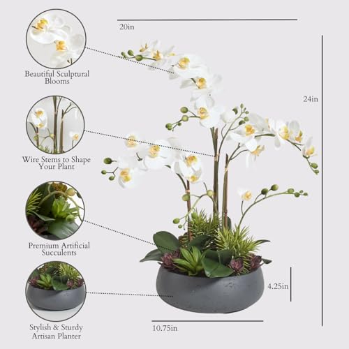 Image of CG Hunter Faux Orchid Plant w /Succulents, Premium Artificial Indoor Flower Display Stands 24 inch w /Beautiful Sculptural Blooms and Succulents That Lasts Forever, Grey Planter Pot Included