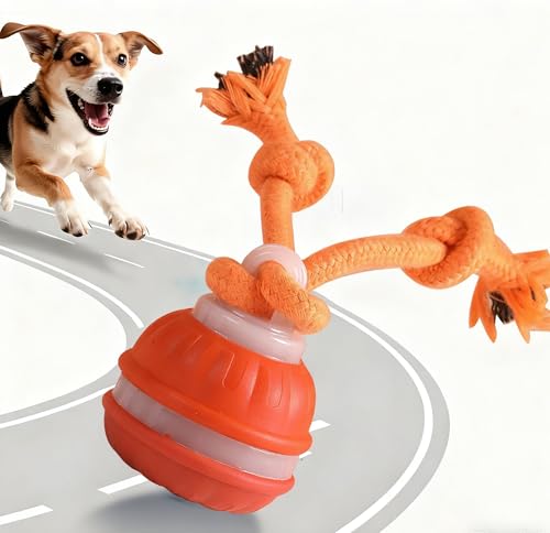 Supore Interaktives Hundespielzeug Ball, Elektrisch Hundeball mit Schnur, Interaktiv Intelligenz Hundespielzeug 3 Spielmodi Automatischer Moving Spielball Dog Toys für Welpen Kleine Medium (Orange)