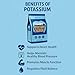 Potassium Chloride Powder 2 Pound - Sodium Free Salt Substitute - Filler Free, Easily Dissolves, Unflavored - Mineral Electrolyte Hydration Fluid Balance - Source of Fruits, Vegetables