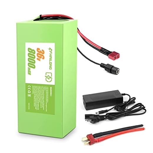 H HAILONG 36V 8Ah 288Wh Ebike Battery, Electric Bike Scooter Lithium Battery with Charger,2A Charger and BMS for 250W 350W 500W Motor