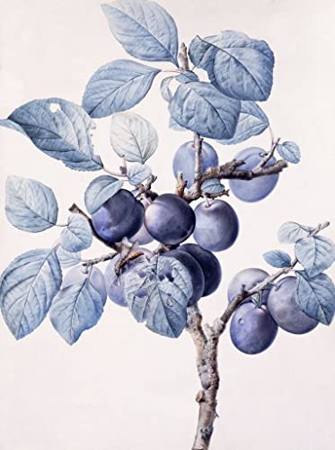 Affiche murale murale branche de prunier vintage grand format 60x90cm